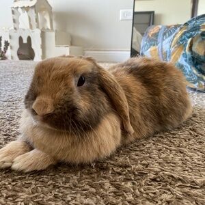 Meet your Posher, Marcela